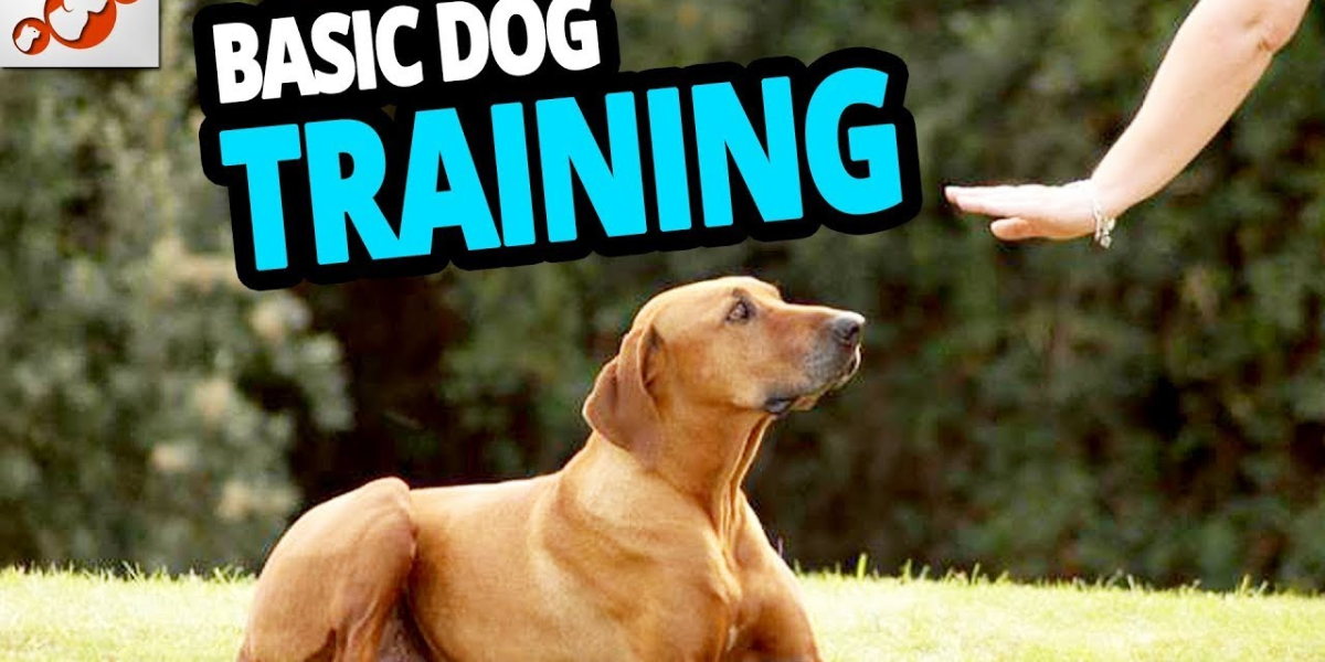 You are currently viewing Basic Dog Commands Every Dog Should Know: Complete Training Guide