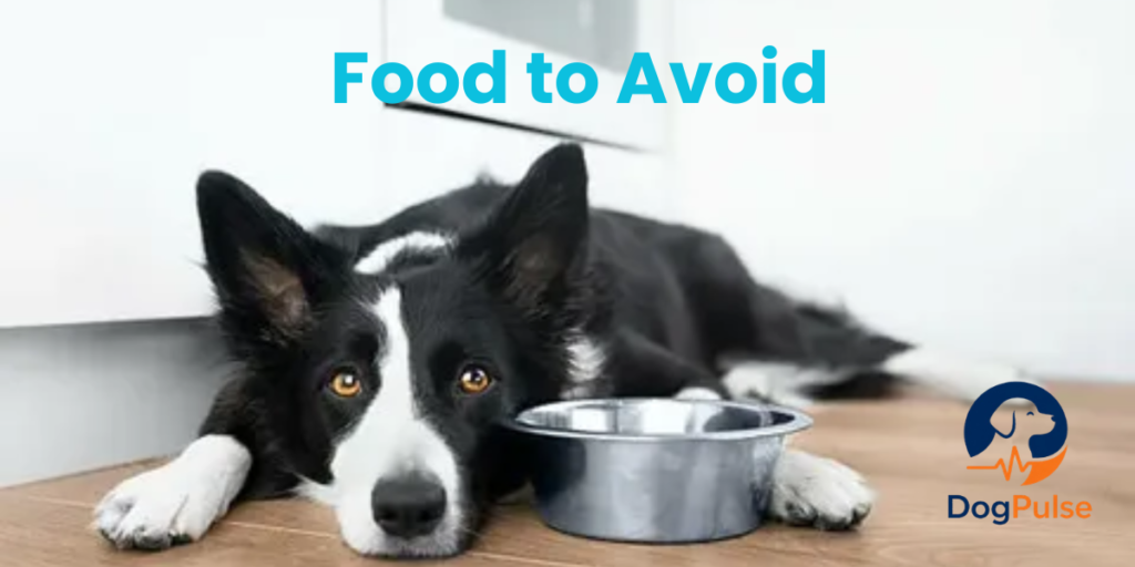 food to avoid border collie.