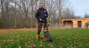 Read more about the article How to Train a Dog to Heel — Complete Step-by-Step Guide (Beginner to Advanced)