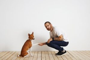 Read more about the article Posh Nosh Dog Food Review 2026: Ingredients, Price, Pros, Cons & Is It Worth It?