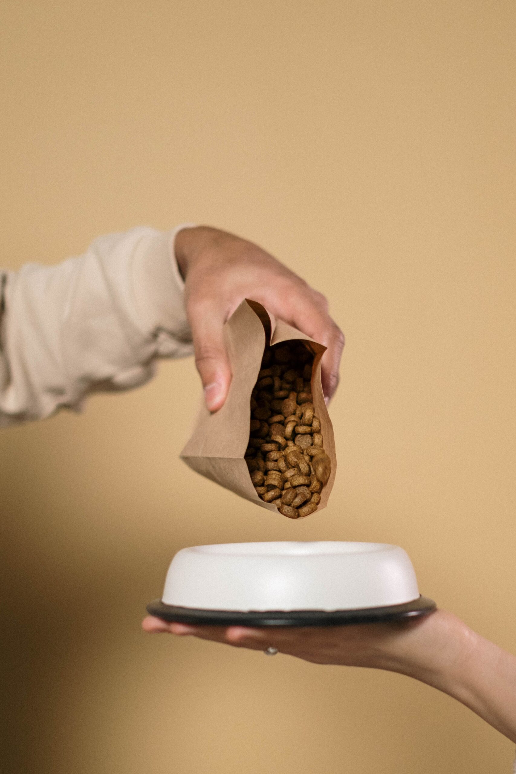 Person pouring dog food into a white bowl for meal preparation