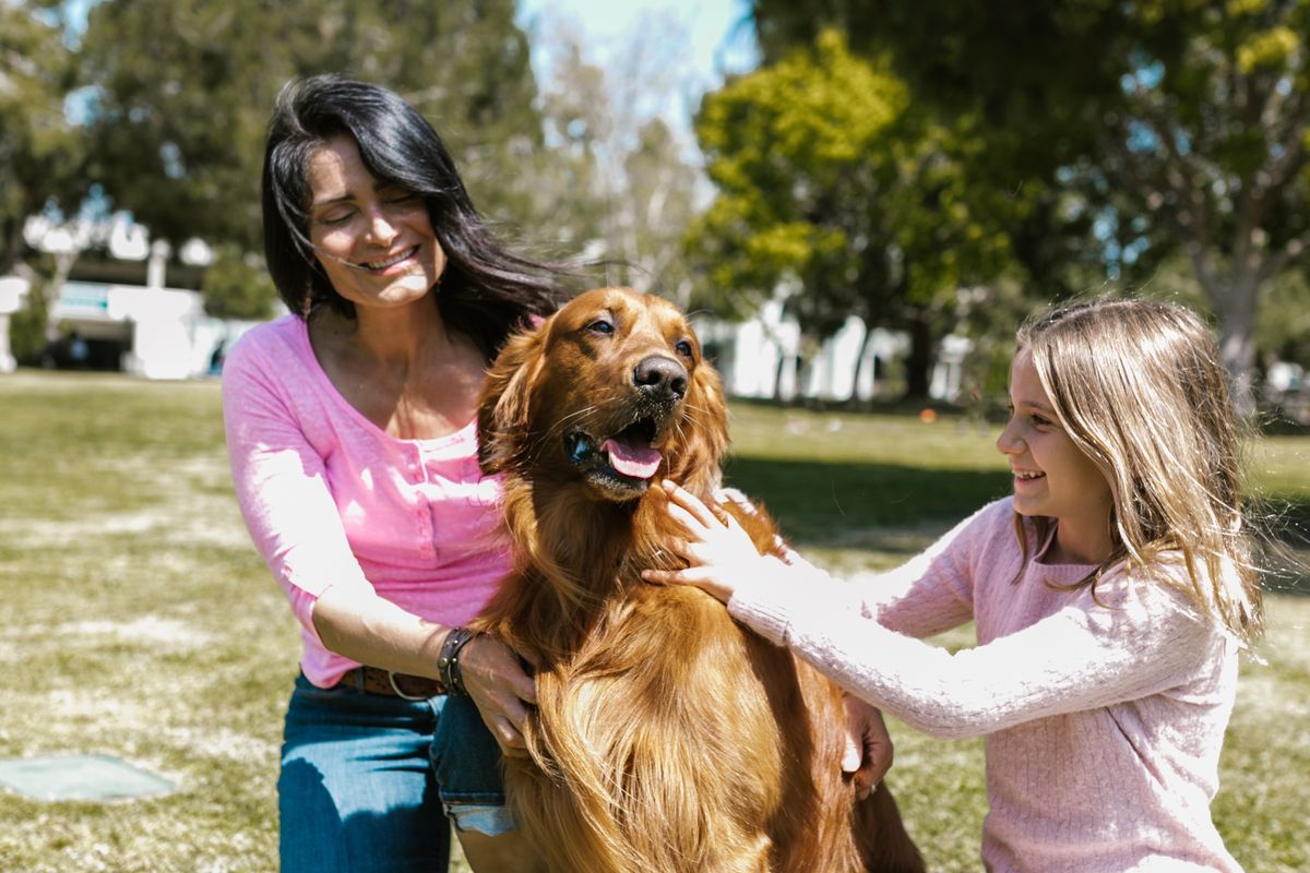 Family enjoying time with their golden retriever dog