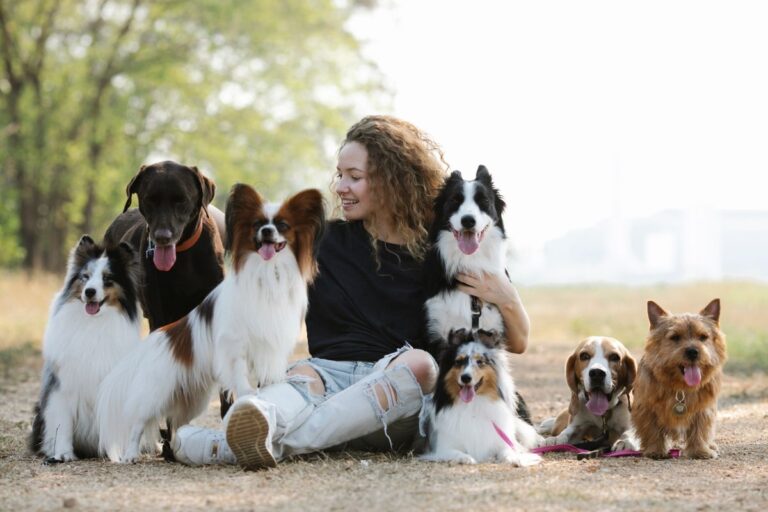 Woman with multiple different dog breeds