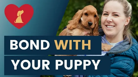 build bond with your dog
