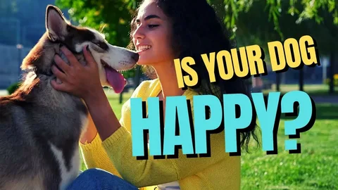 is your dog happy
